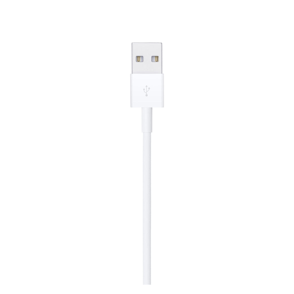 Apple 1 m USB-A to Lightning cable