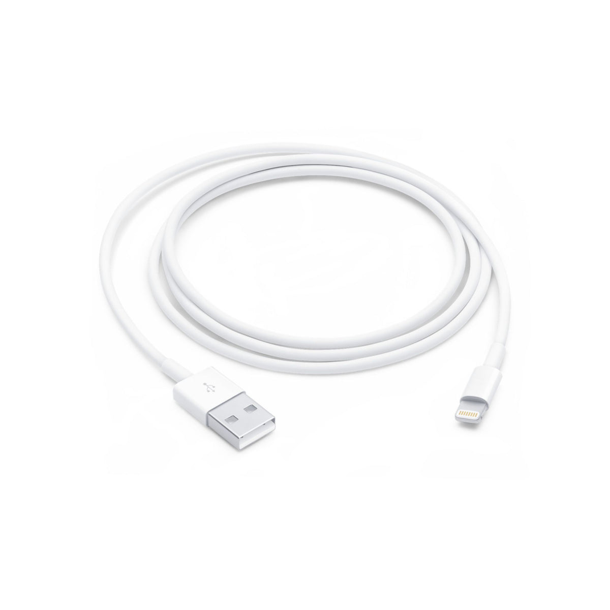 Apple 1 m USB-A to Lightning cable, front view