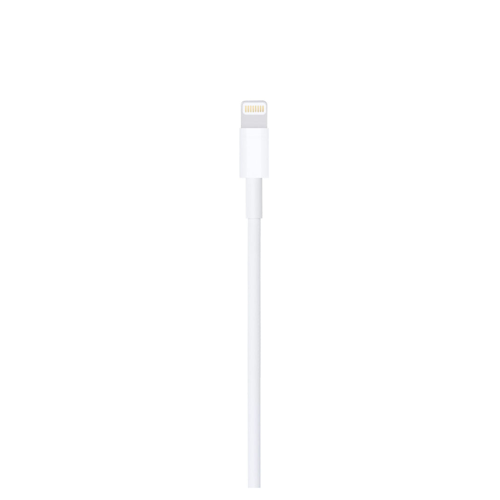 Apple 1 m USB-A to Lightning cable, connector view