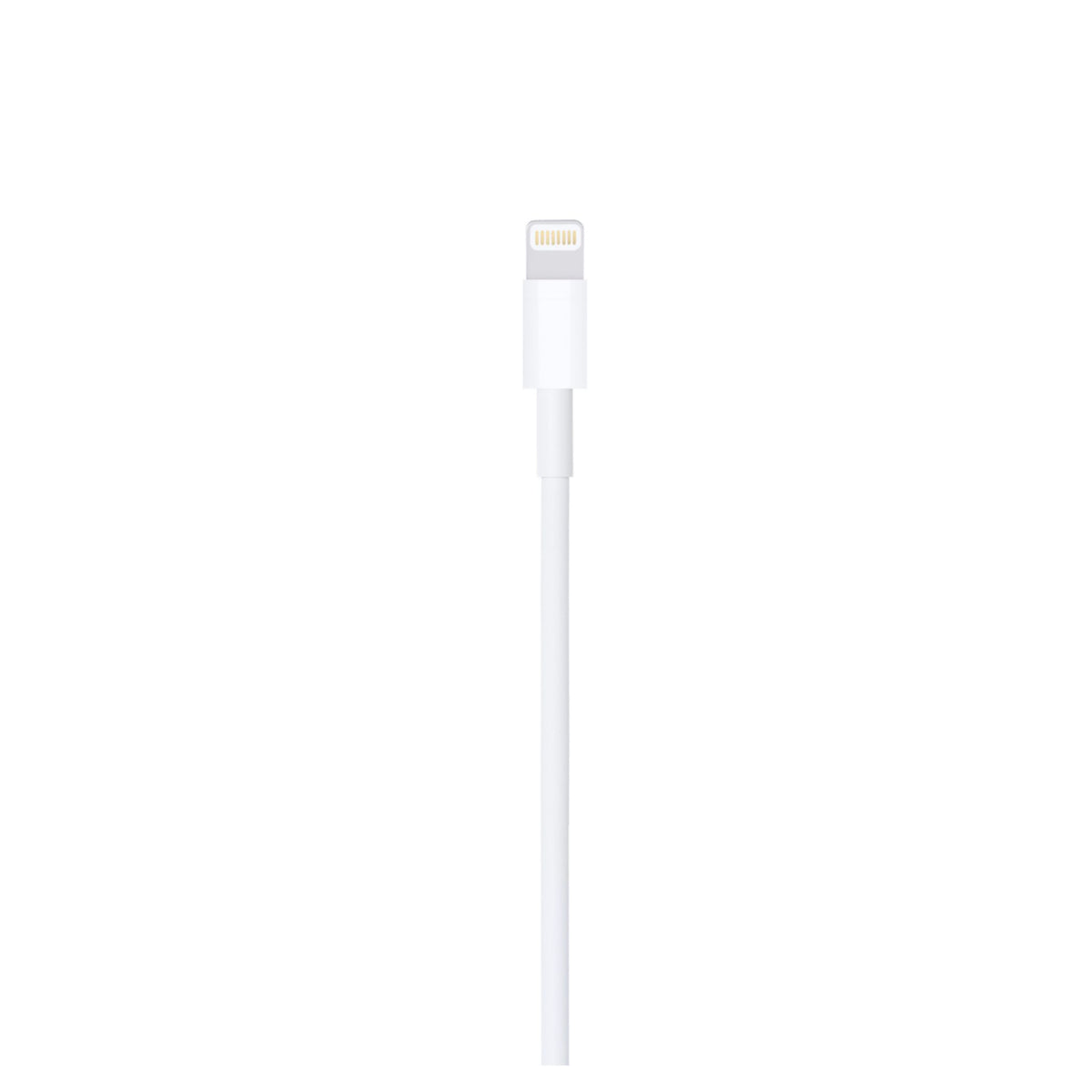 Apple 1 m USB-A to Lightning cable, connector view